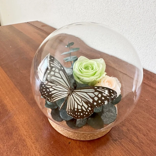 领养一只蝶，永生蝴蝶玫瑰花生日礼物送女友闺蜜母亲节礼品伴手礼