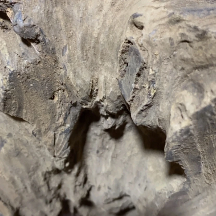 【闪购商品】贡木其他用****6定制12345678999999