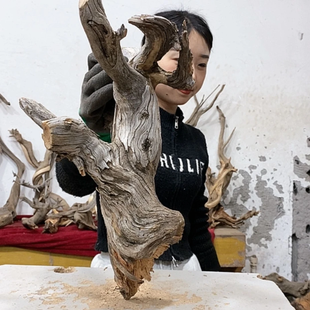 【闪购商品】柏木奇*我们都是好孩子