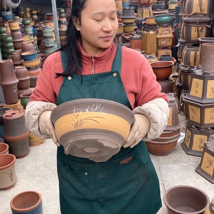 紫砂花盆盆栽花卉苗木种植