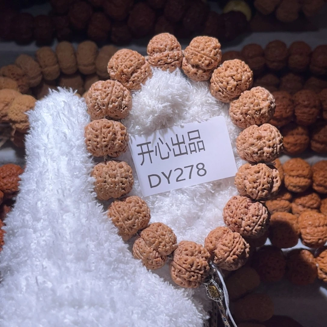 活***玩金刚菩提手串梁无名22尺寸