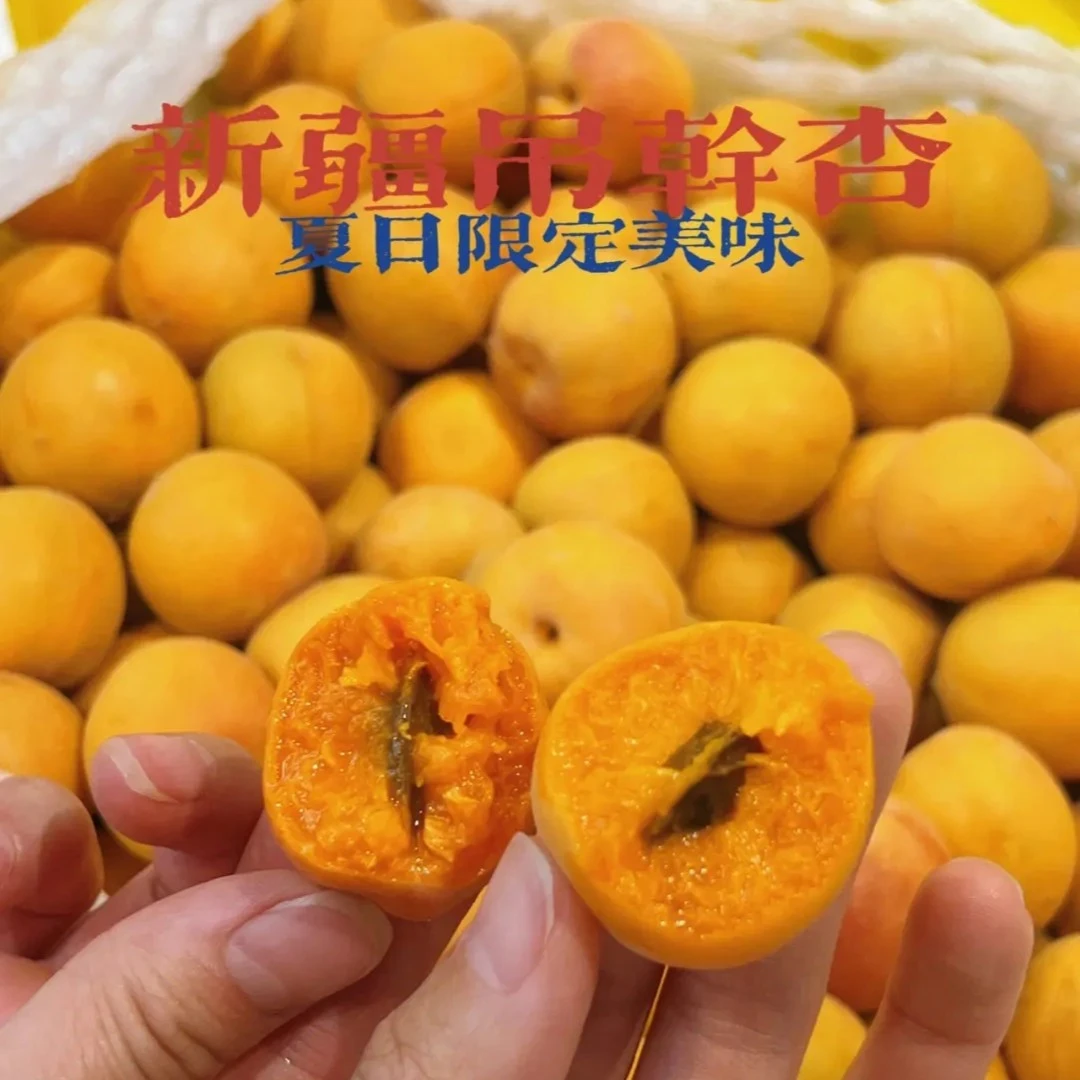 【吊干杏】新疆吊干杏甜杏应季水果新鲜水果顺丰包邮