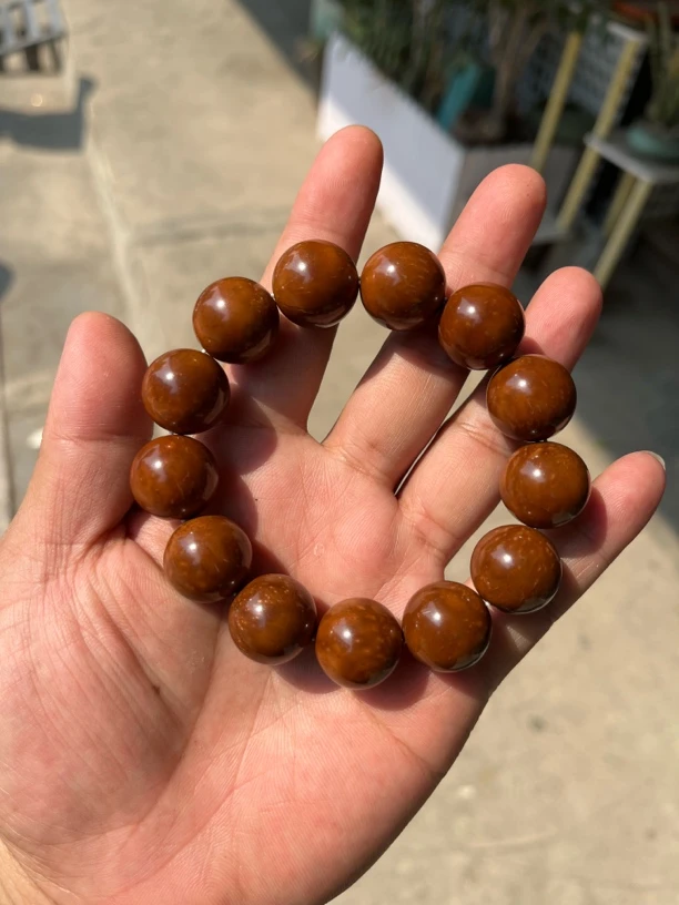 库克菩提1.8精挑单圈