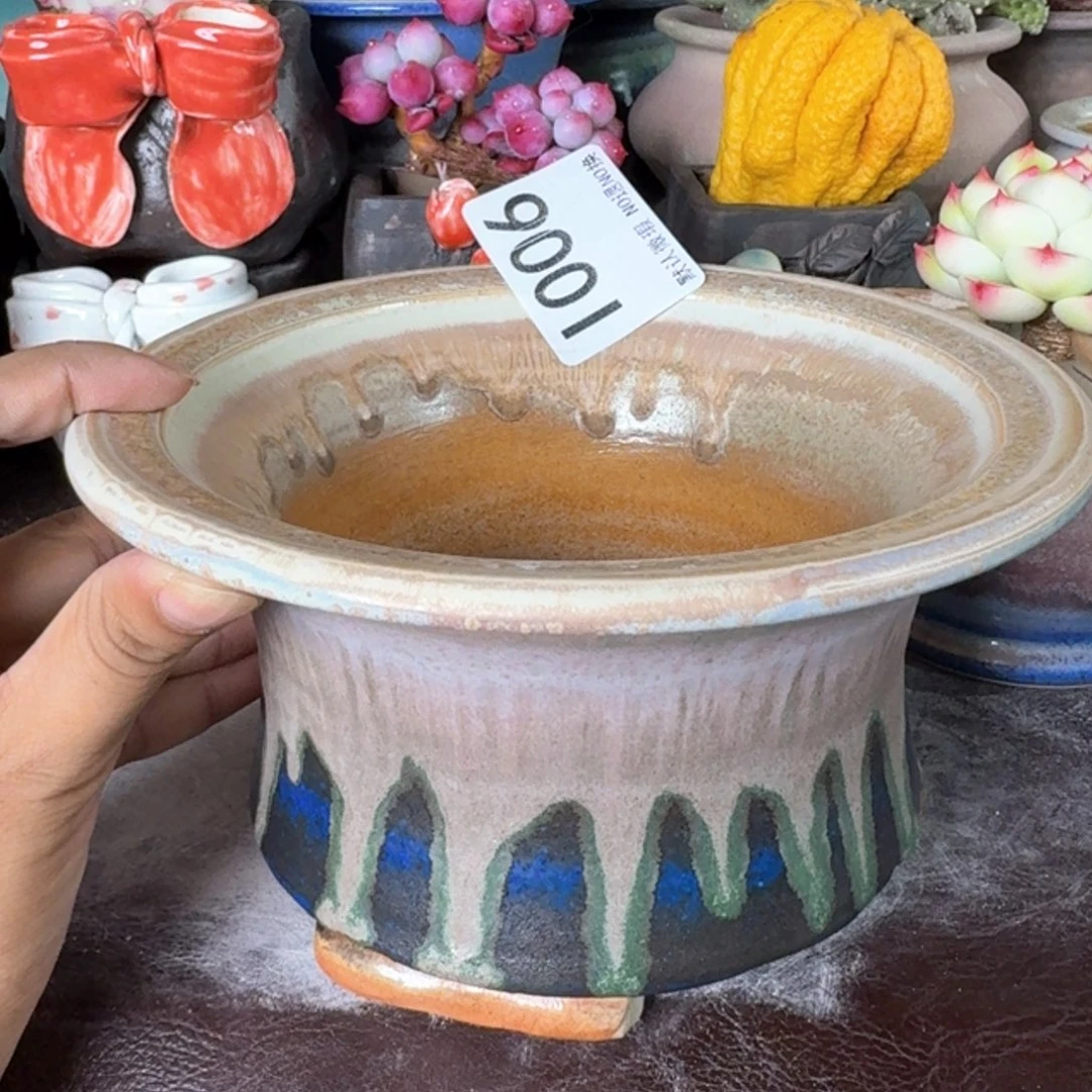 重庆小燕子欢迎大家006
