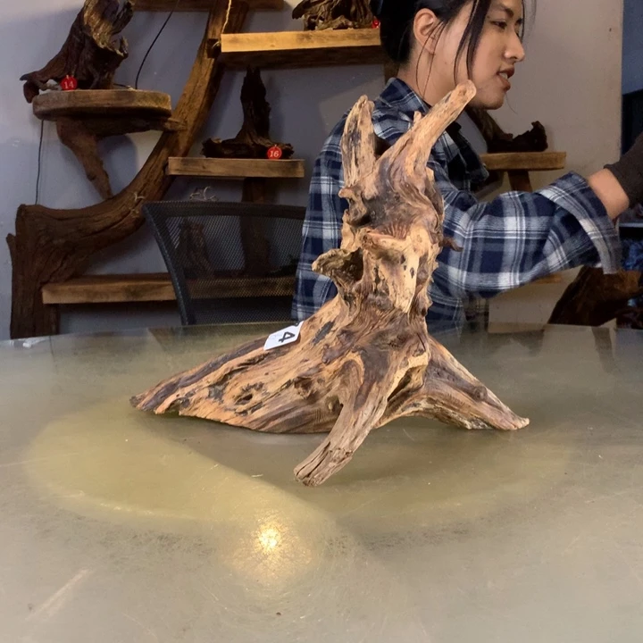 ****精天然的云南紫柚木会黄水