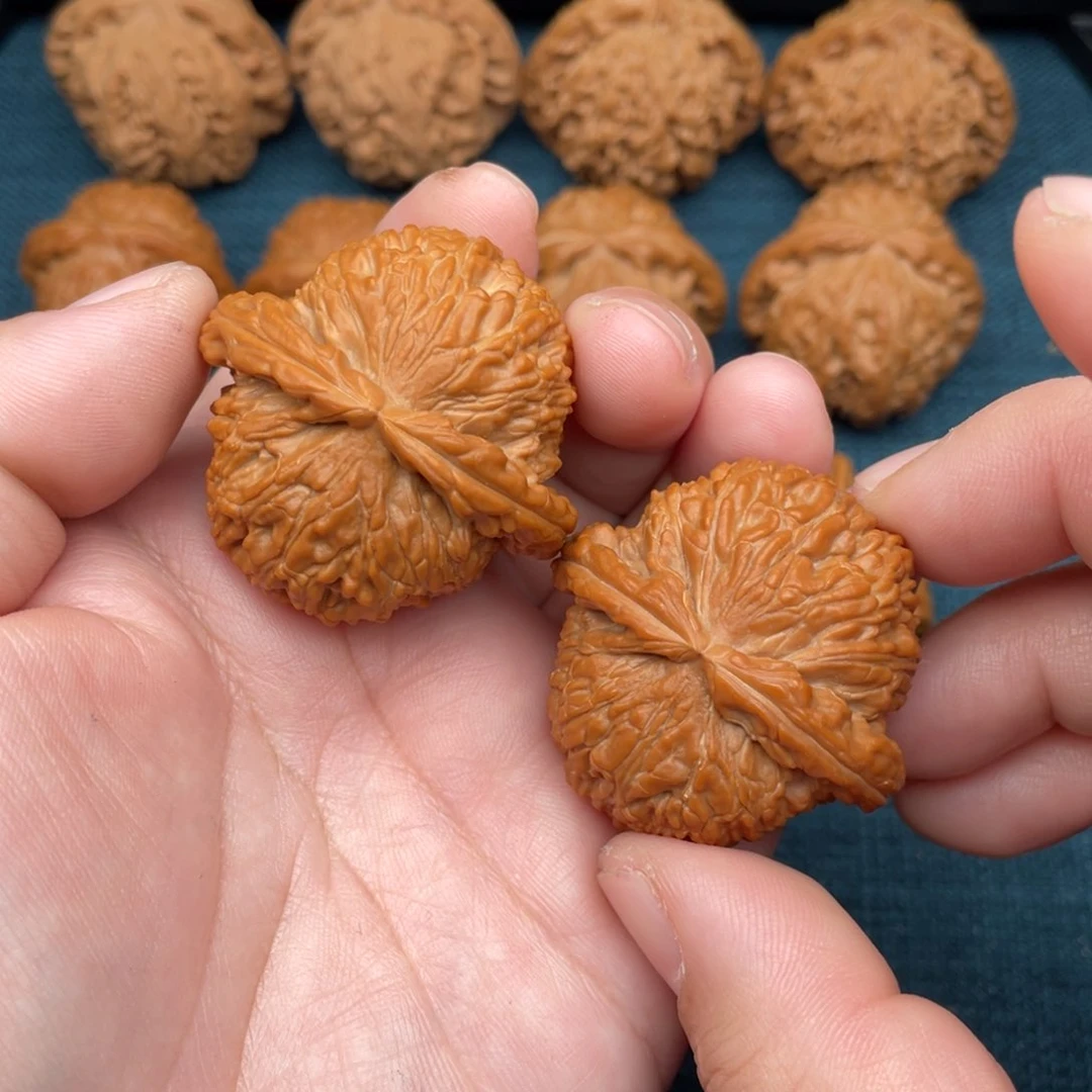 文玩核桃把件全品红皮精品白狮子42