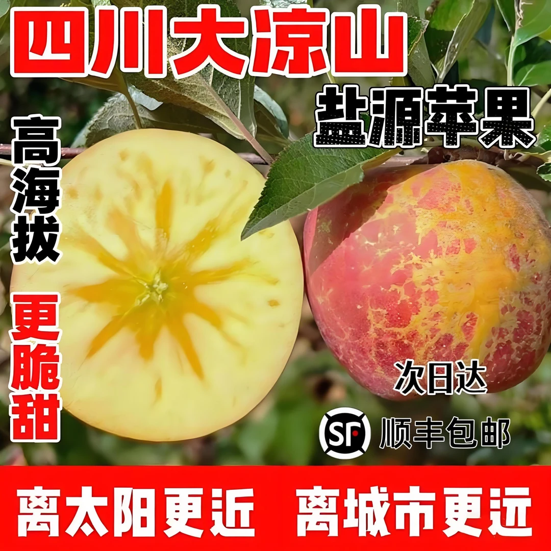 【正宗】四川大凉山盐源高山丑苹果 应季水果 新鲜苹果 现摘现发 全国多仓发货 顺丰包邮 次日达四川省