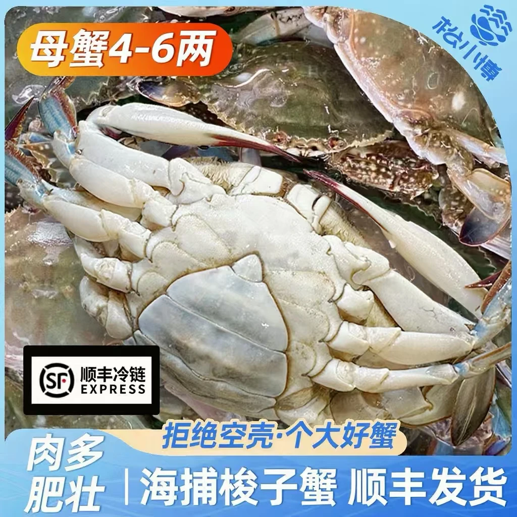 J 舟山母蟹梭子蟹5两左右/只（6只3斤左右，含赠品）不可清蒸【冻蟹】