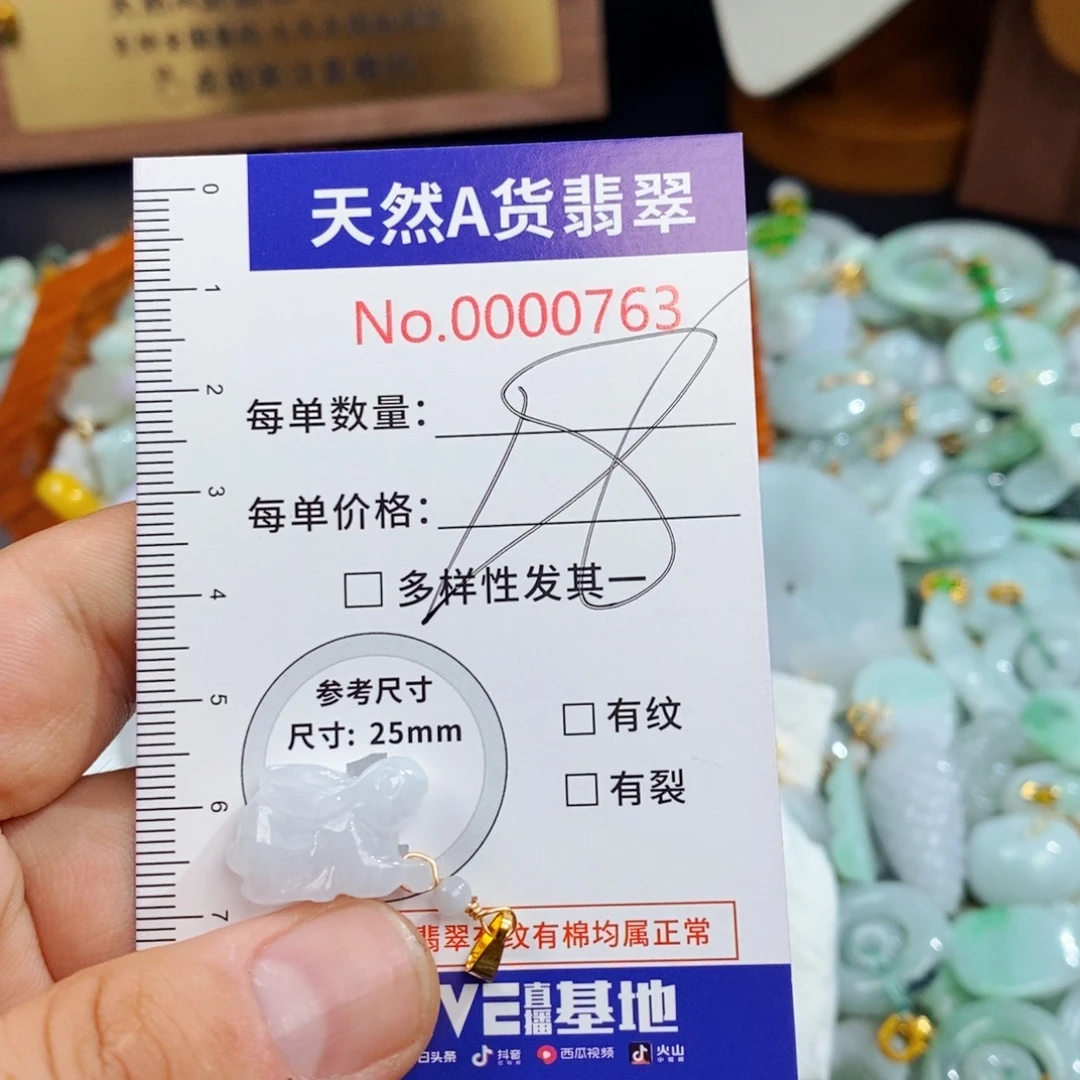翡翠未镶嵌颈饰763