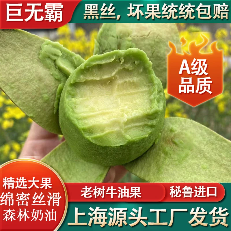 【直播链接-供应链直发-200-220g-果王】秘鲁进口牛油果哈斯品种新