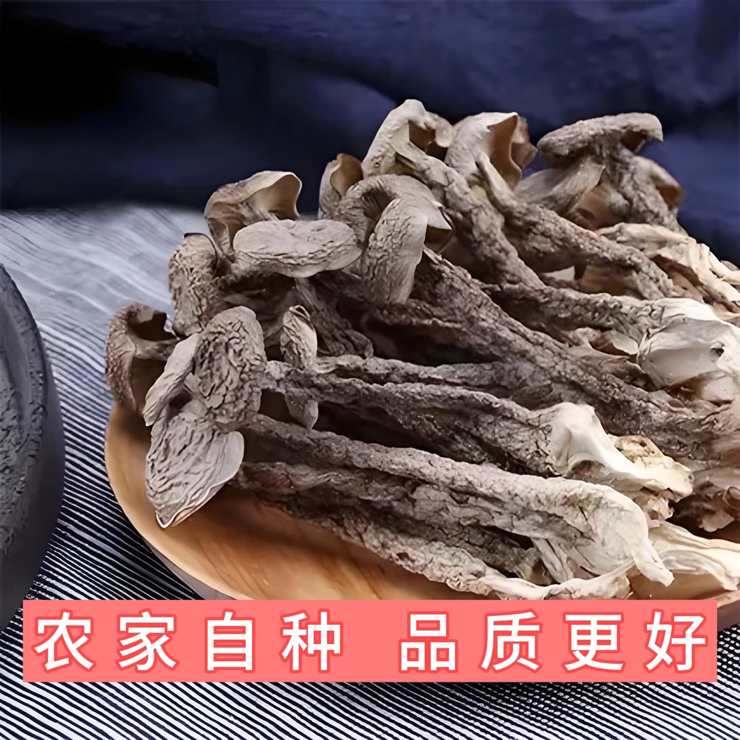 【上品鹿茸菇】l高山营养生态鹿茸菇鲜美脆嫩