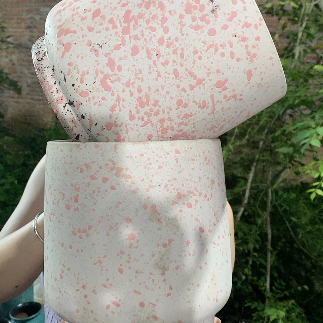 紫砂花盆正品20/20