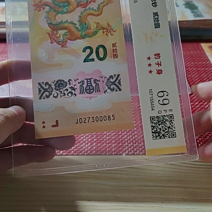 塑料小龙钞豹子身27300085评级