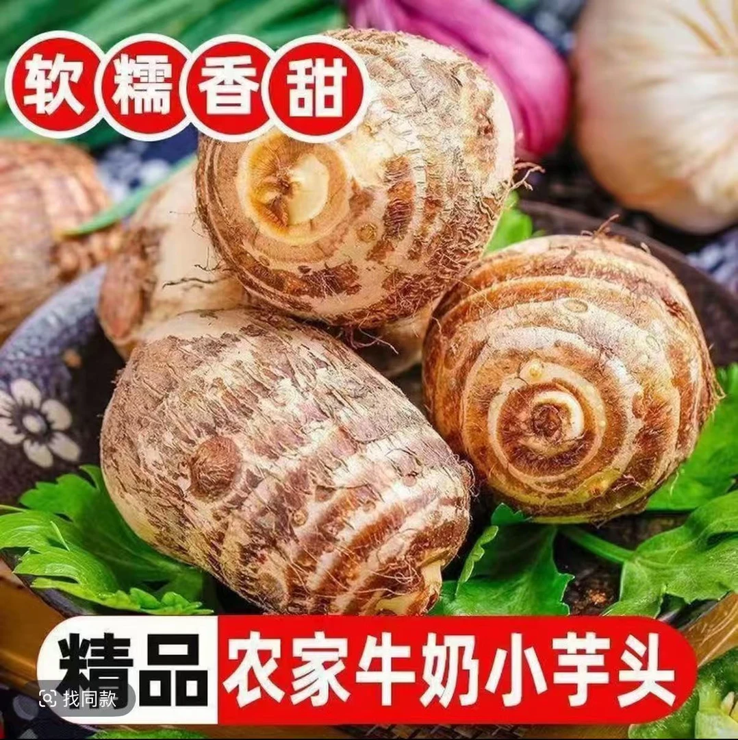【牛奶芋头新鲜】小毛芋头糯香芋现挖甜腻嫩滑当季新品