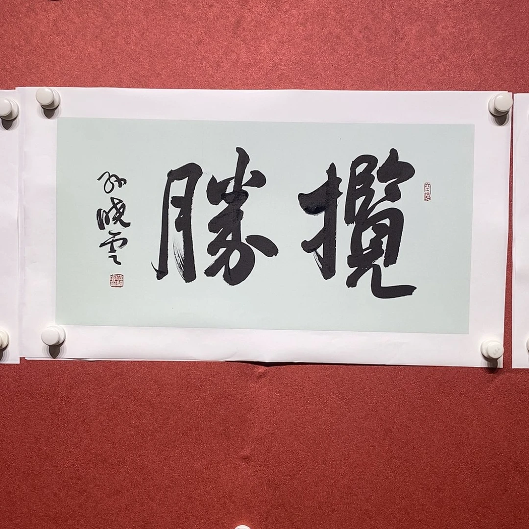 书法揽胜直播大漏