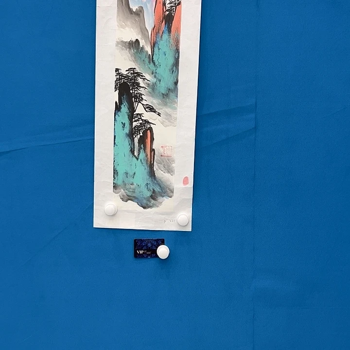 国画姜国华雅昌白书原作！