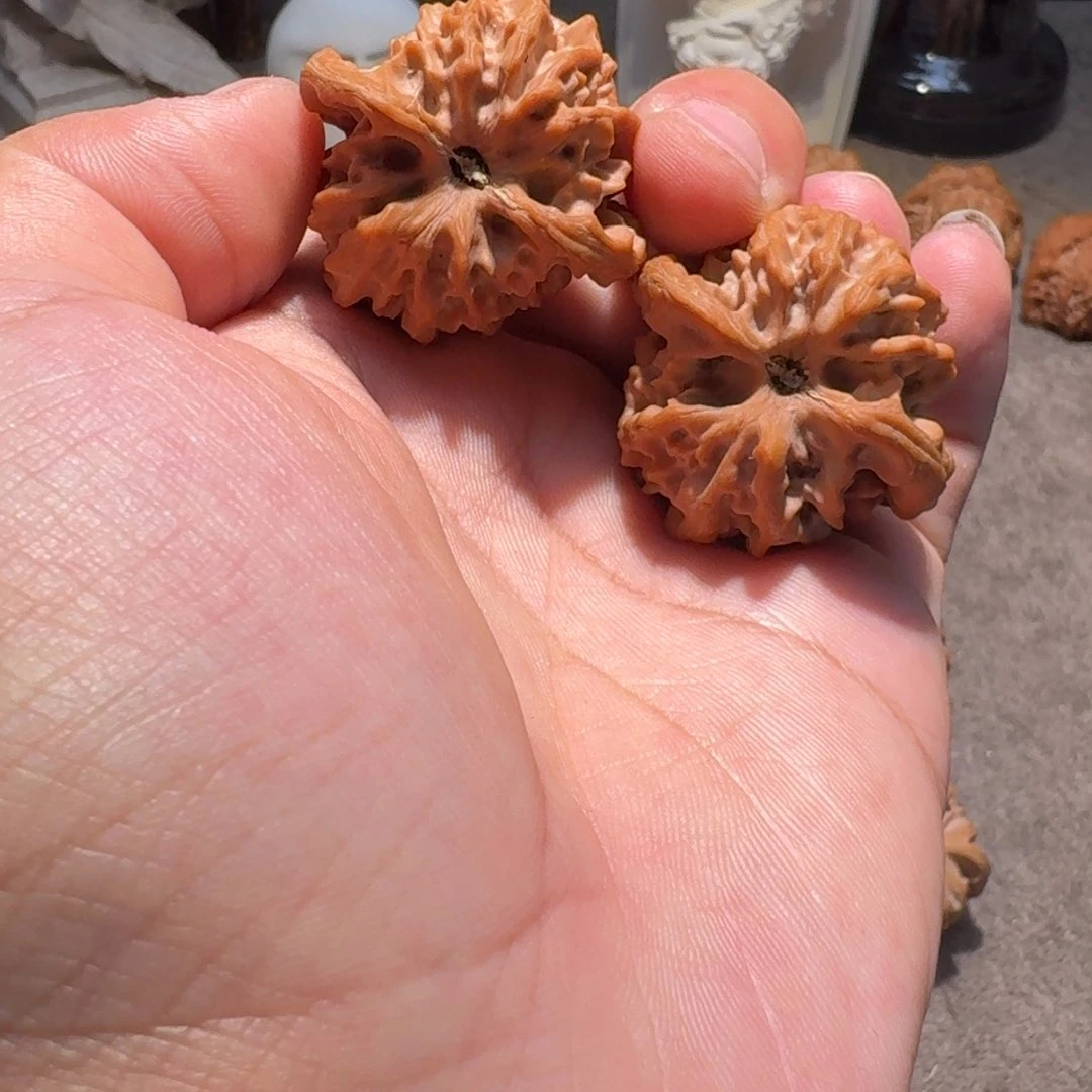 手串/手链核桃37全品曹大龙