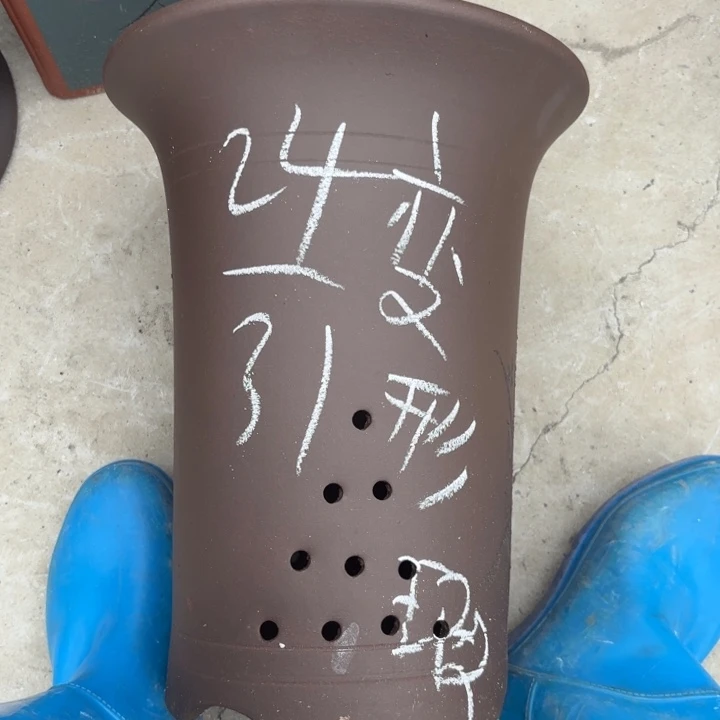 花盆紫砂紫砂的花