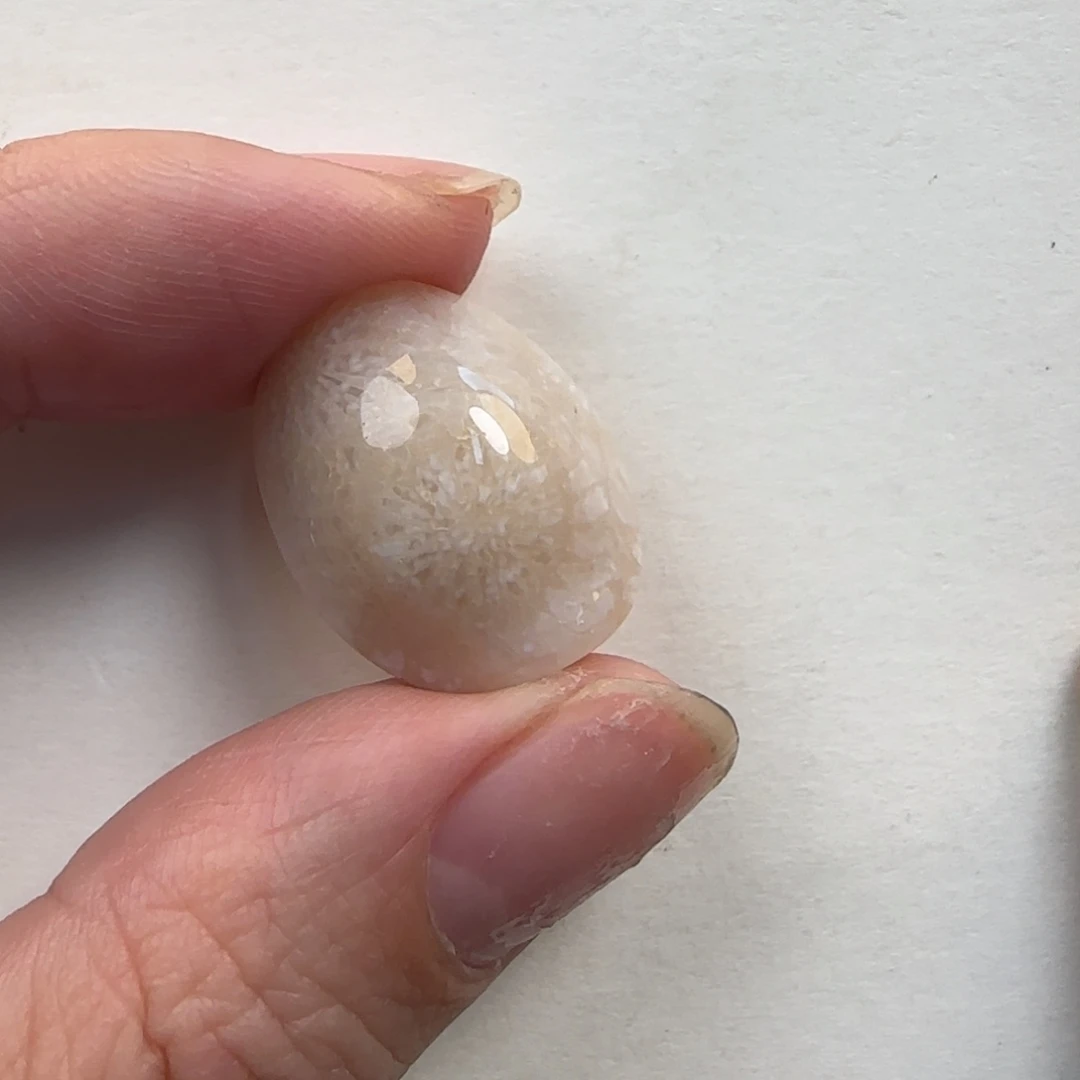 硅化珊瑚（珊瑚玉）未镶嵌颈饰