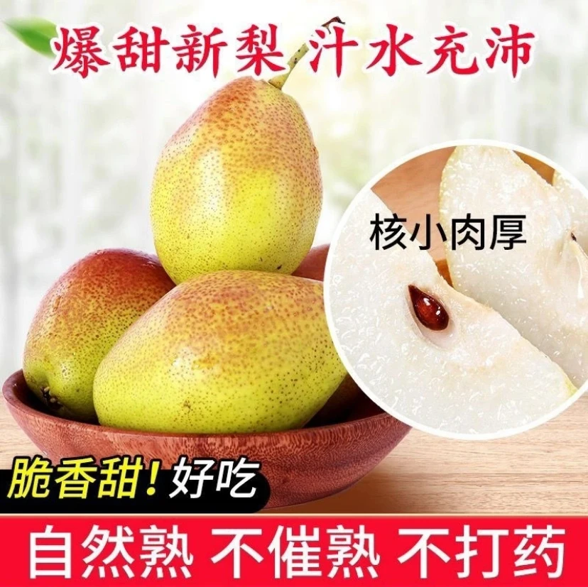 【5-8斤净重】新疆库尔勒香梨新鲜梨子脆甜薄皮香酥梨当季水果年货