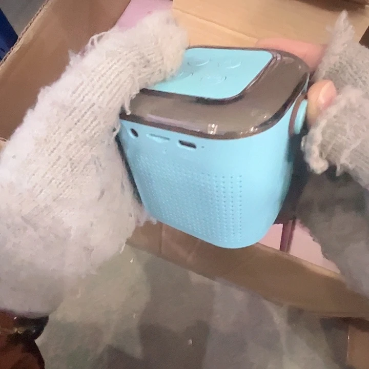 品牌小音响带。  话筒
