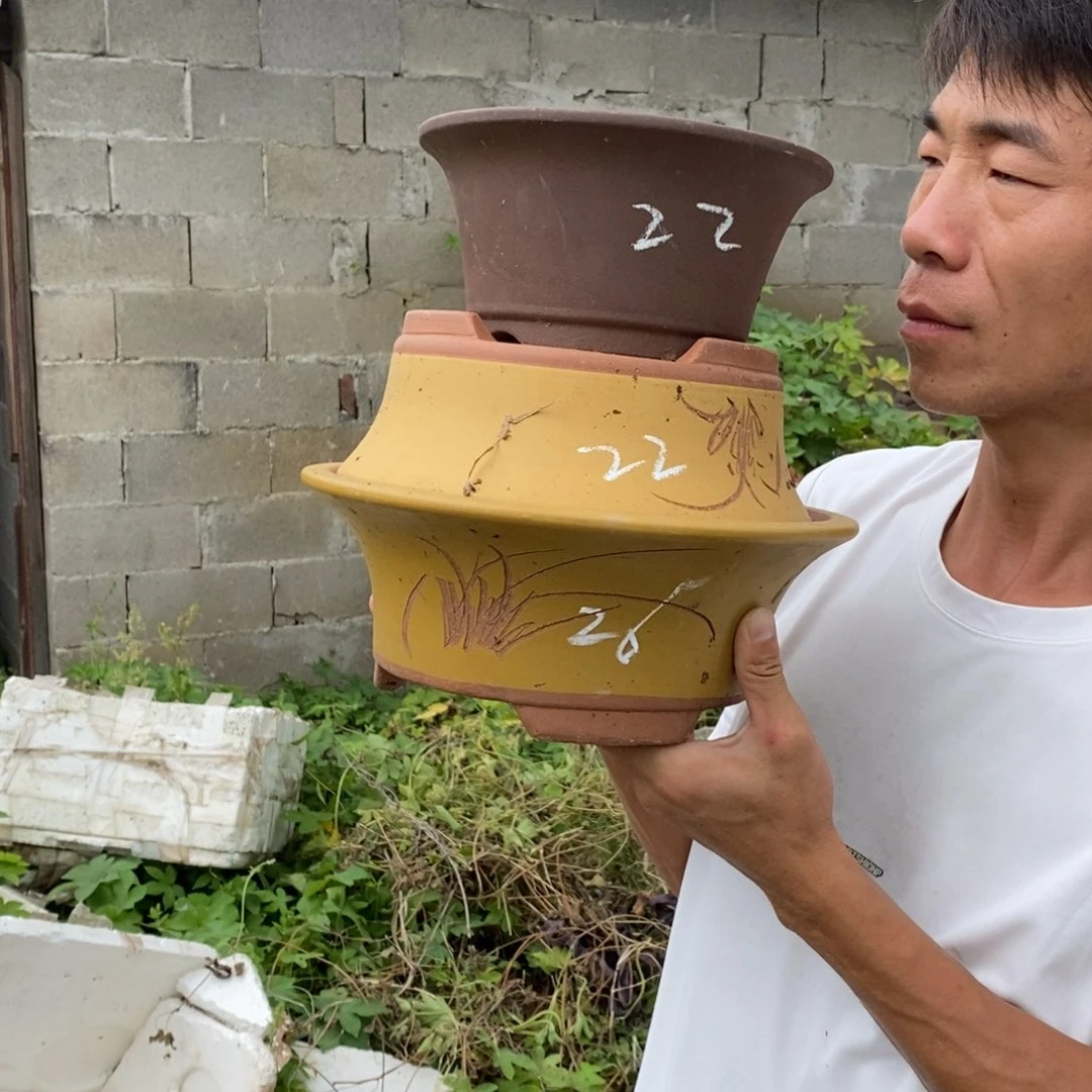 紫砂壶的时候就觉得自己是