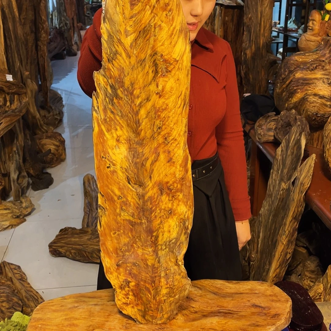 @***@松木（琥珀木）琥珀