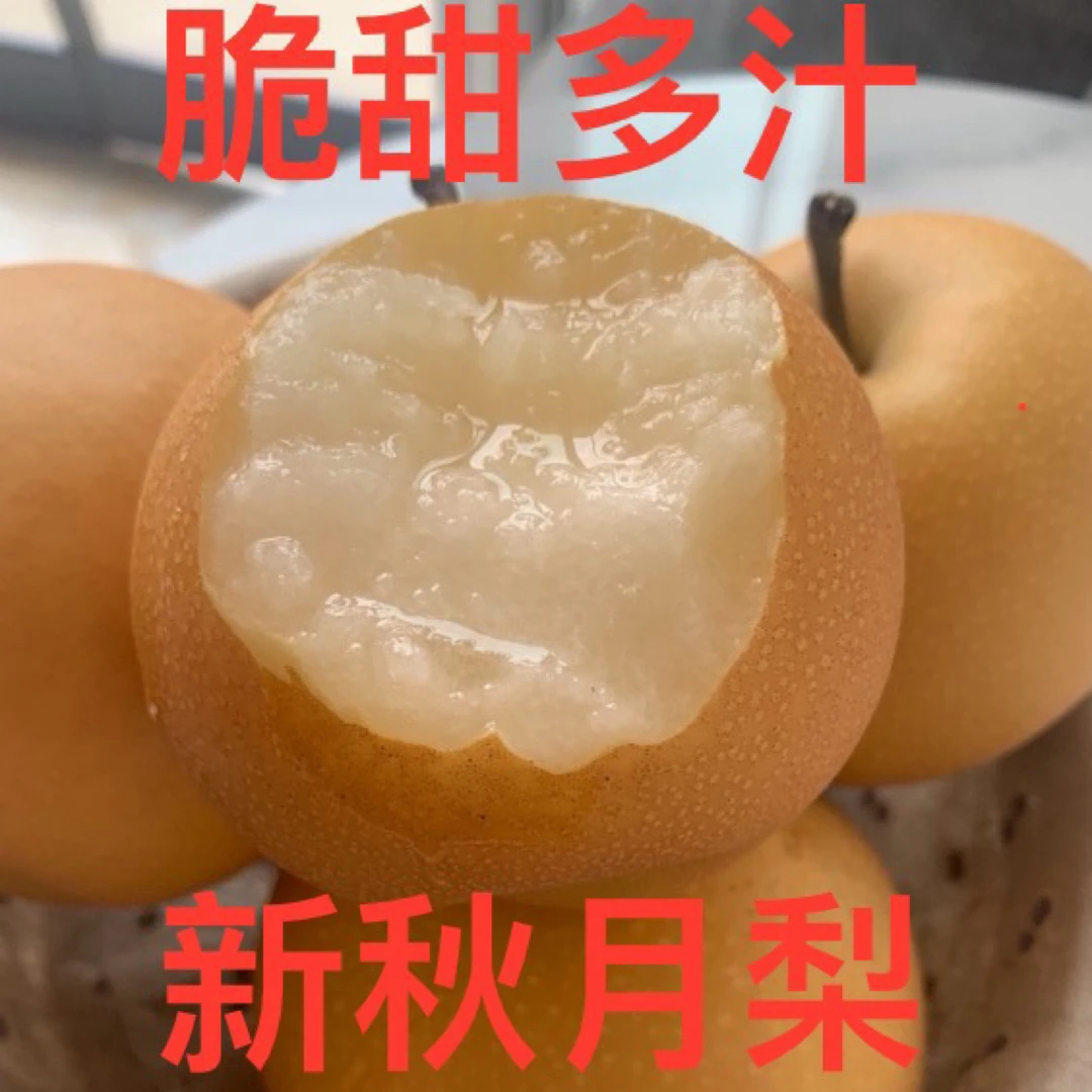【自营甄选】正宗特级山东秋月梨脆甜多汁入口细腻无渣露天当季新鲜