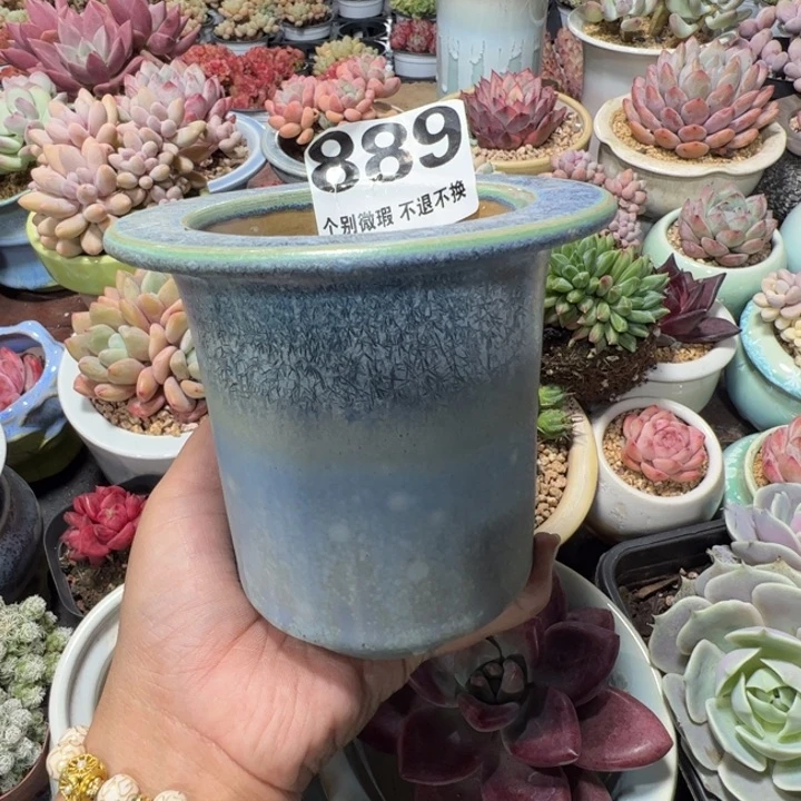 特价花盆满50发货内口8