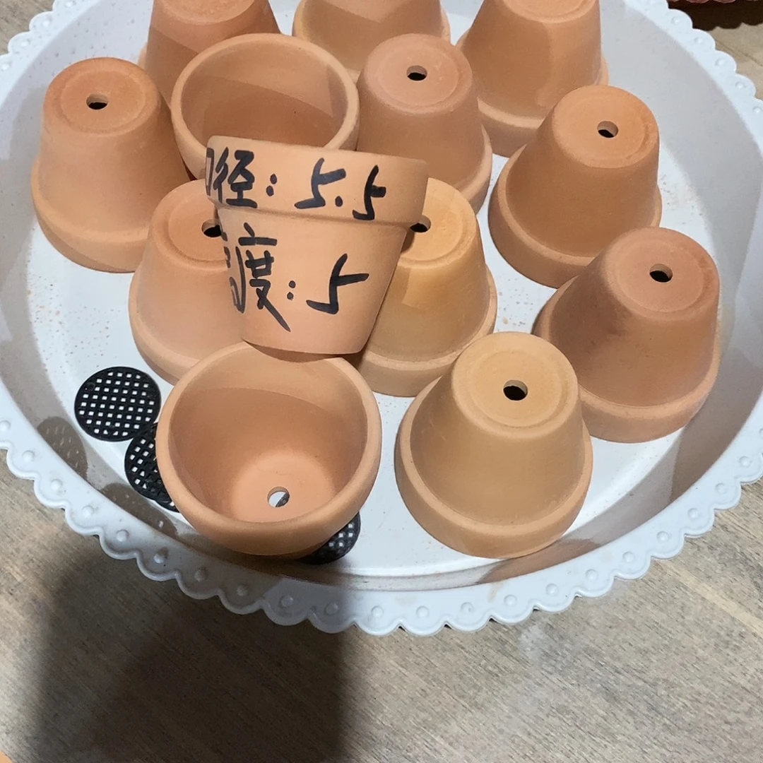 红陶5.5×5-18