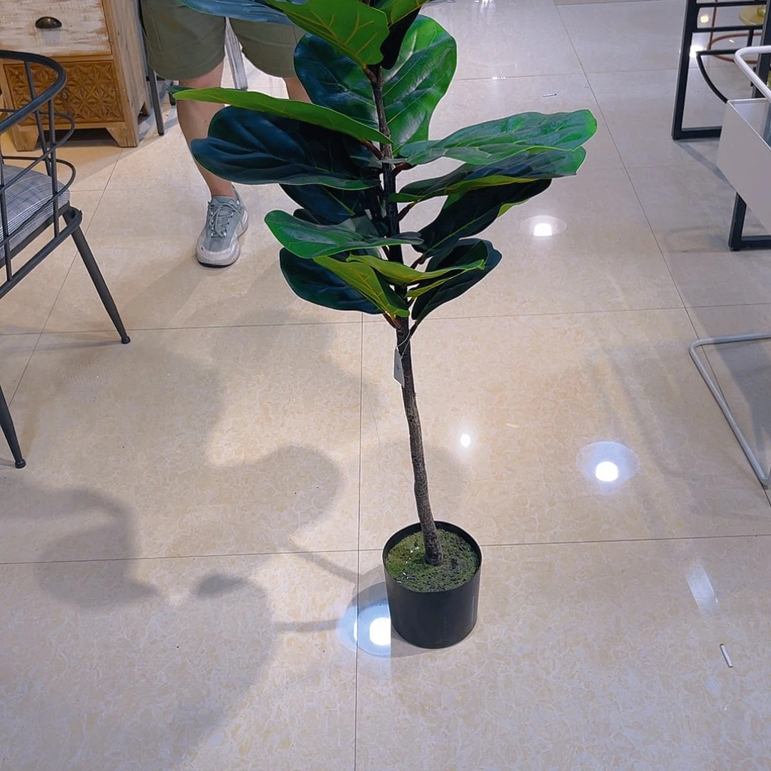 用***7红陶红陶红陶红陶