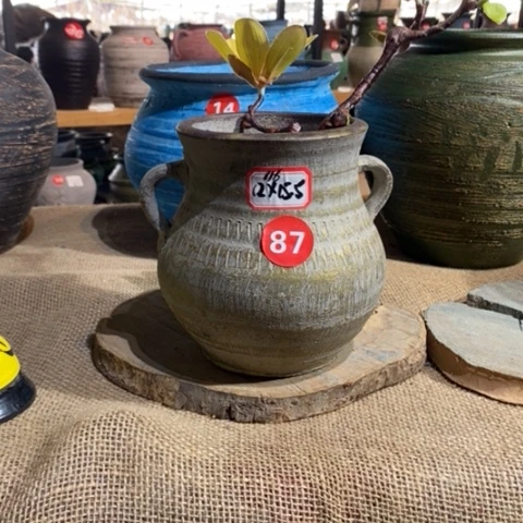 【闪购商品】正品包邮