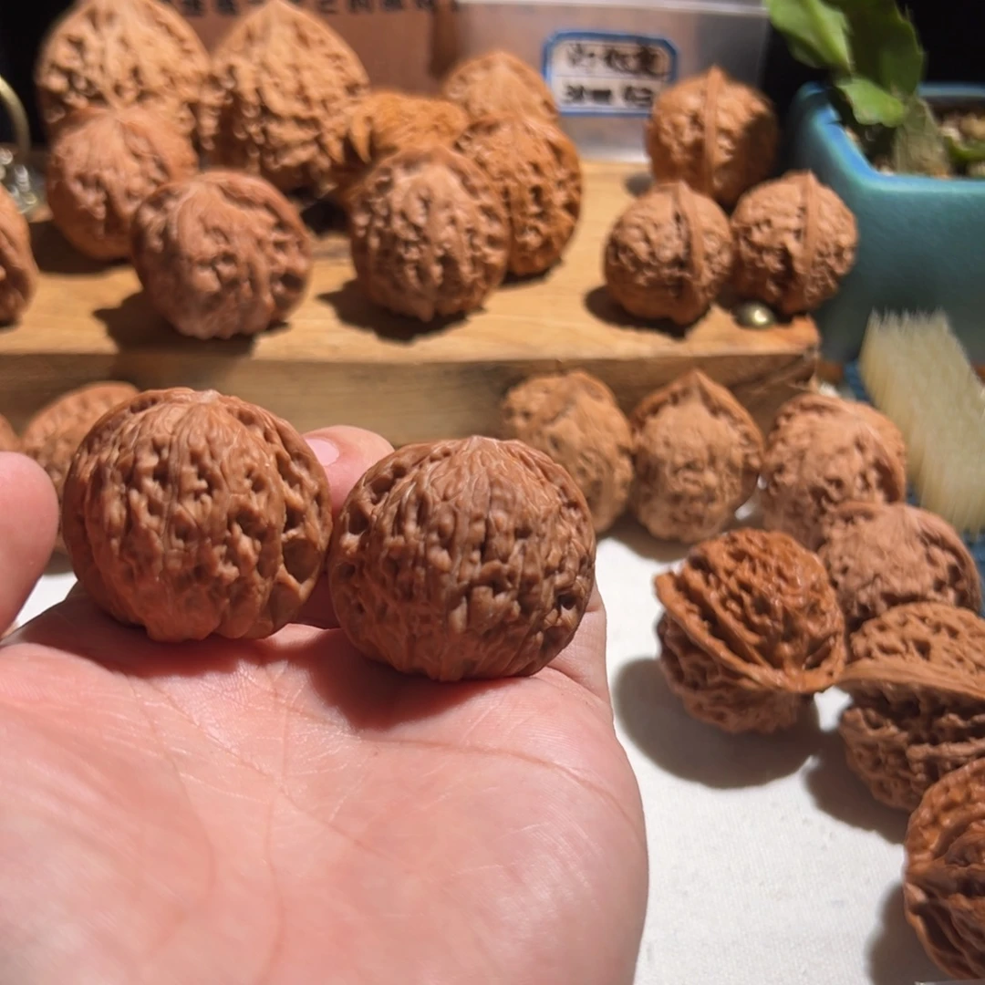 昂***健核桃全品无修 34+ 小 山地磨