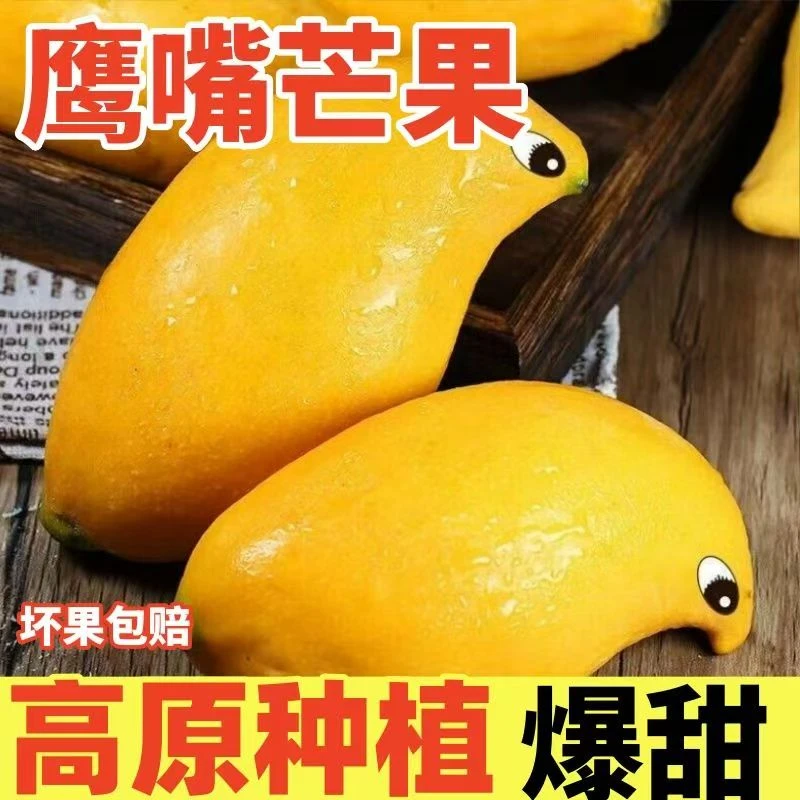 【云南鹰嘴芒】当季新鲜热带水果现摘鹰嘴芒香多汁