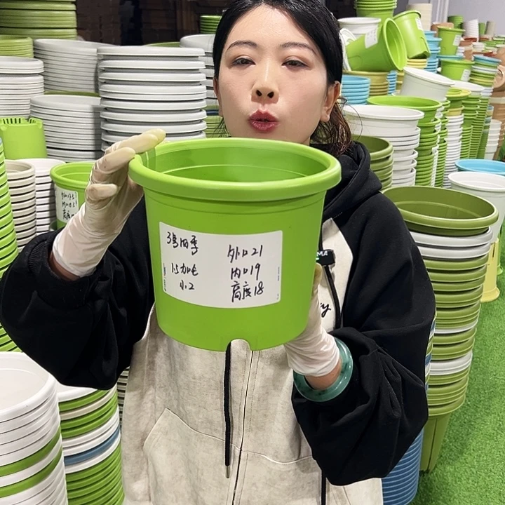 特价3号四季口21高18白色10支无托