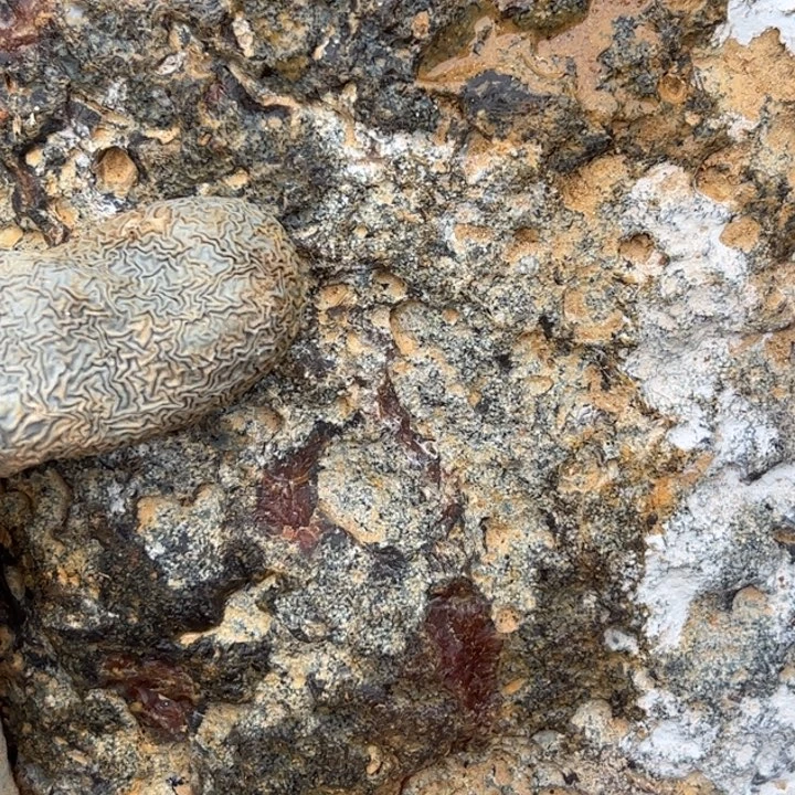 朗***珂定制玛瑙玛瑙手镯