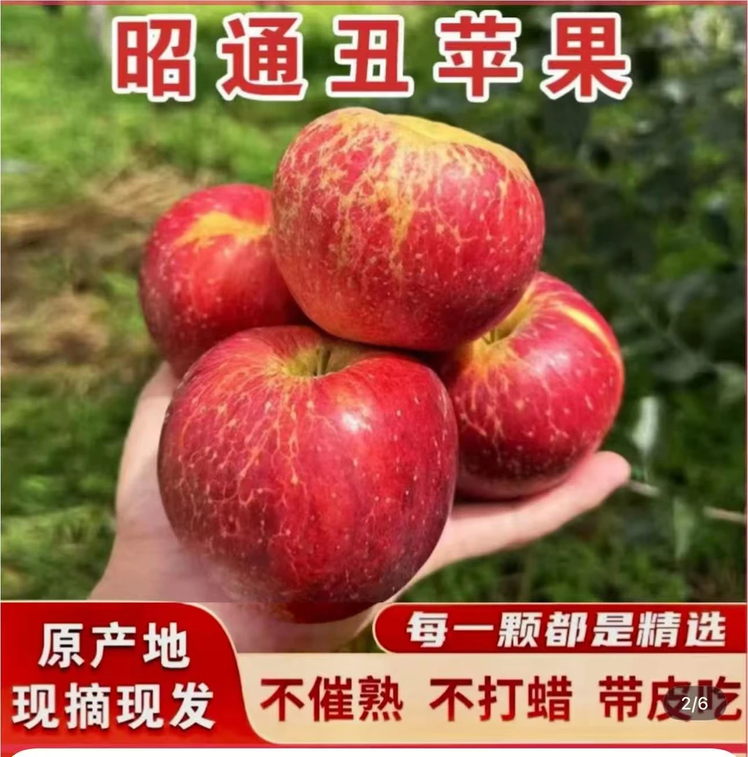 云南昭通冰糖心孕妇脆甜多汁现摘现发整箱3昭通苹果黄桃鲜果