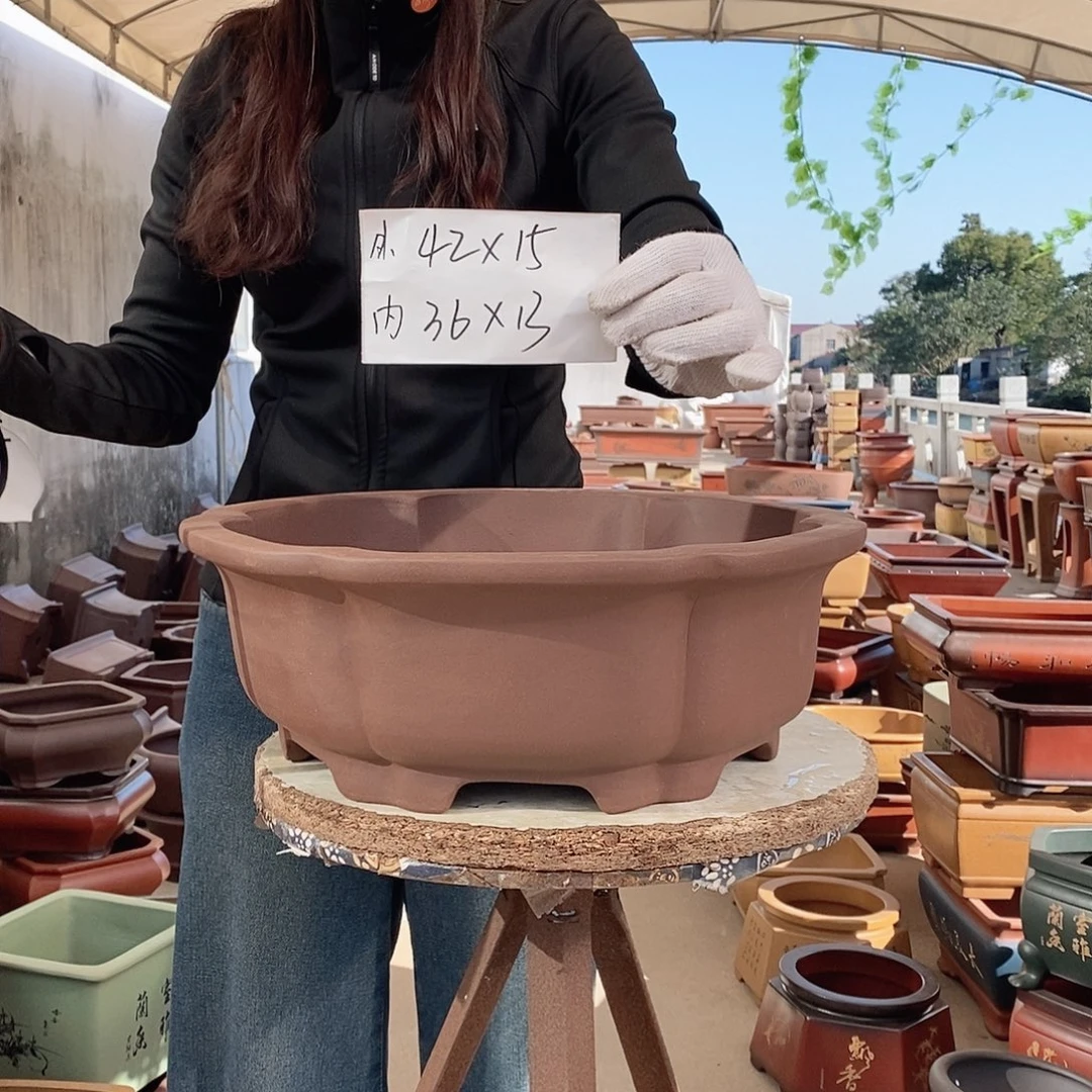 紫砂花盆紫砂花盆发10个