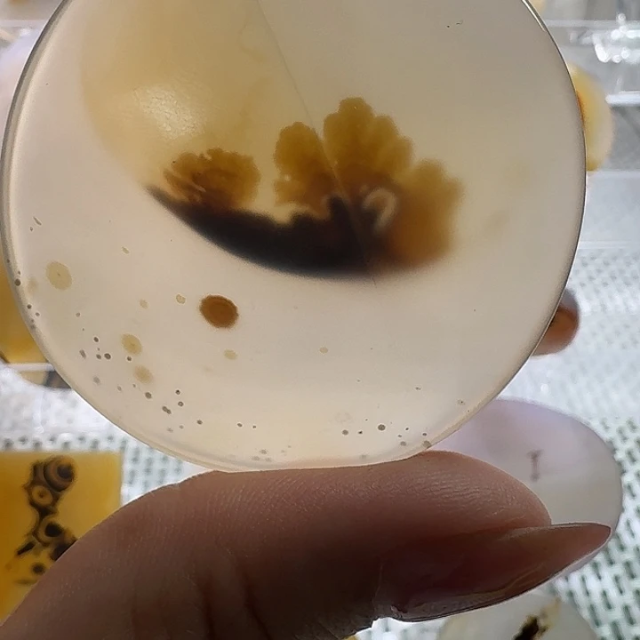 未镶嵌项链玛瑙/玉髓