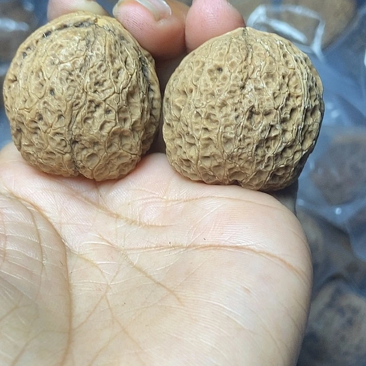 文玩核桃把件云南铁核桃基地54