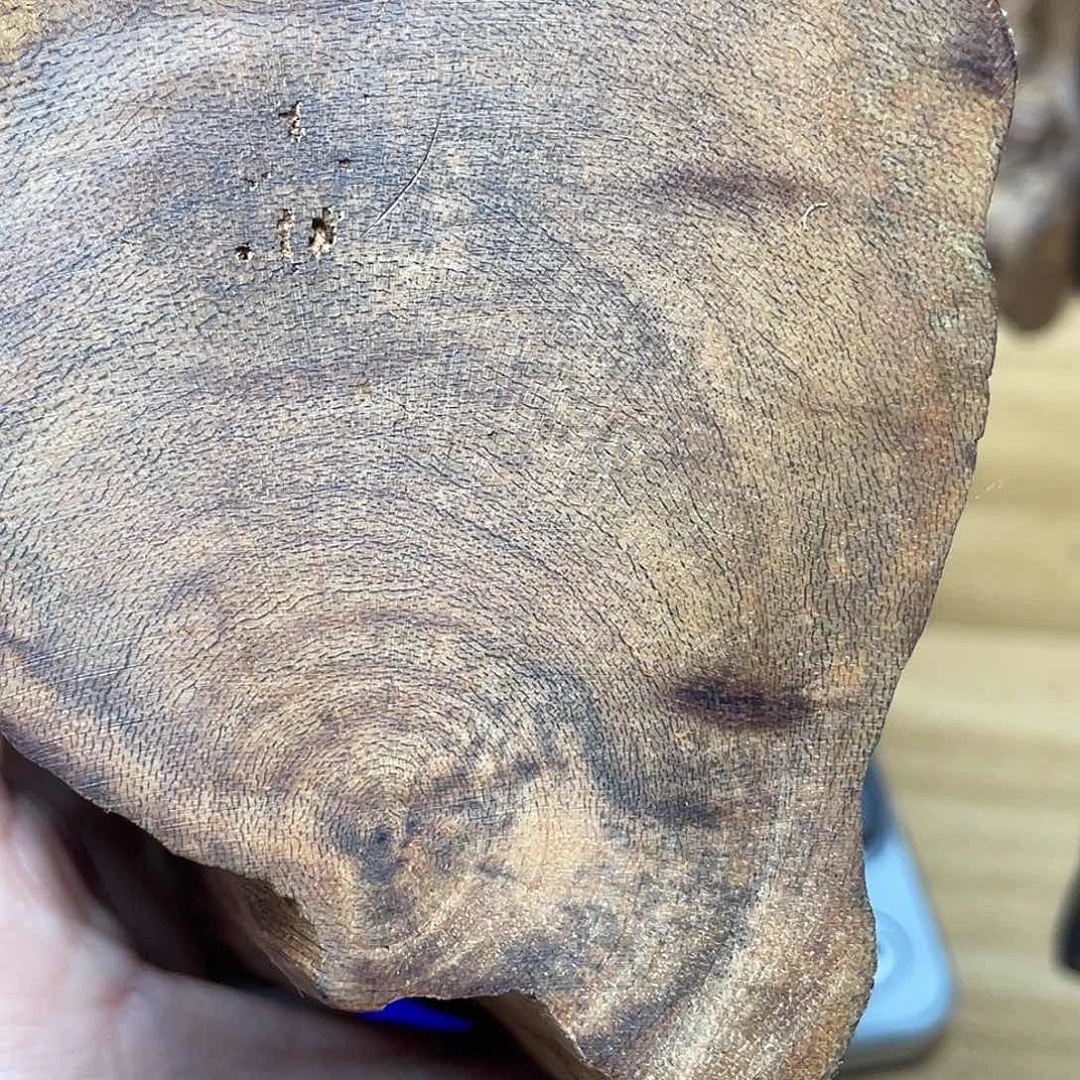 8***3沉香越南惠安原料300克