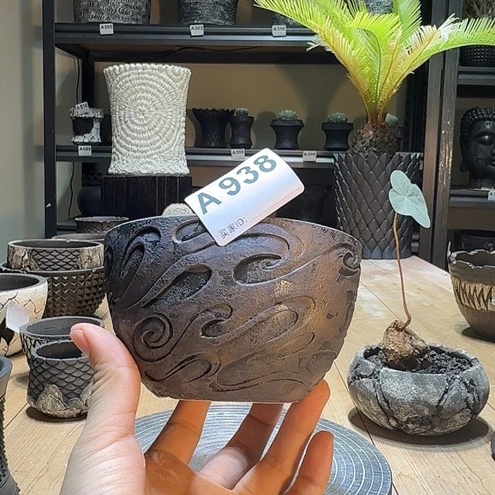 内口10.5高7块根植物盆