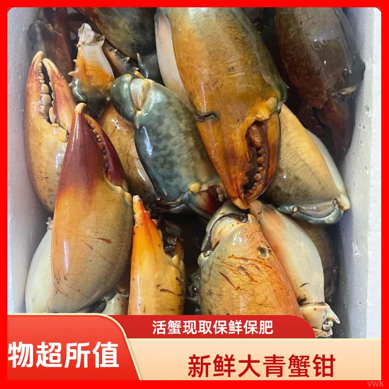 新鲜青蟹腿特大蟹钳鳌大肉多海鲜水产活蟹青蟹脚野生现掰蟹脚钳