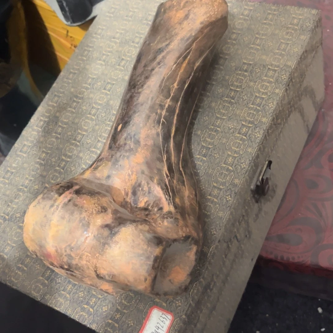 缸三*缘b b b b b b b b bv