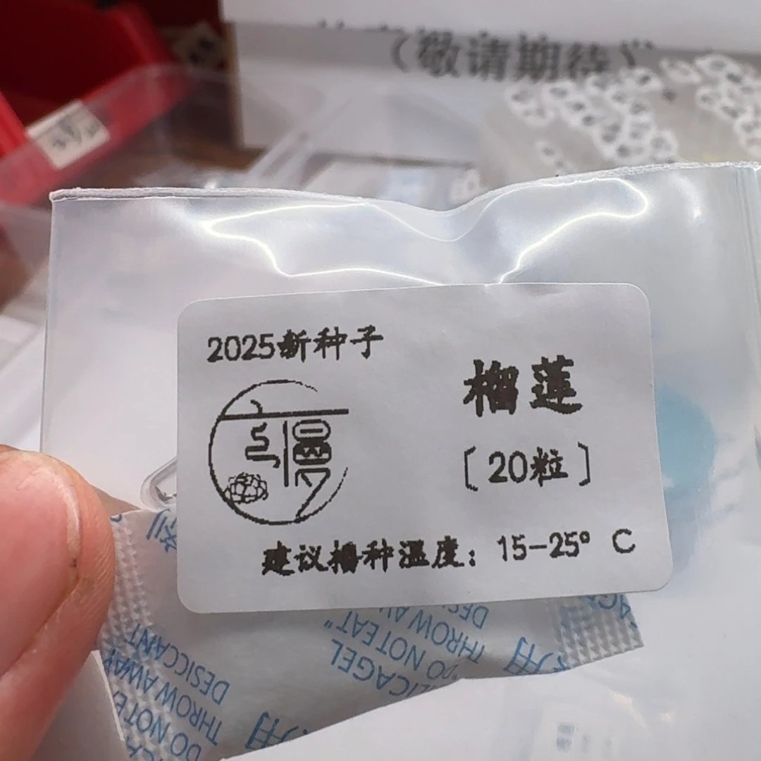云慢2025新种子糖珍系榴莲20粒