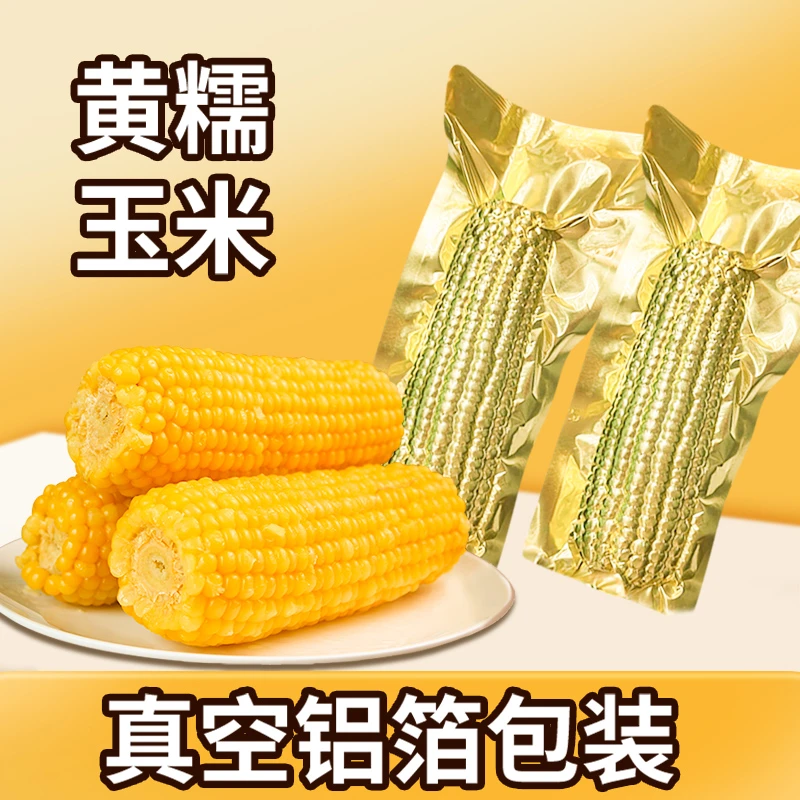 【试吃两根】东北黄糯玉米软糯粘香产地直发金铝箔包装12支6斤以上