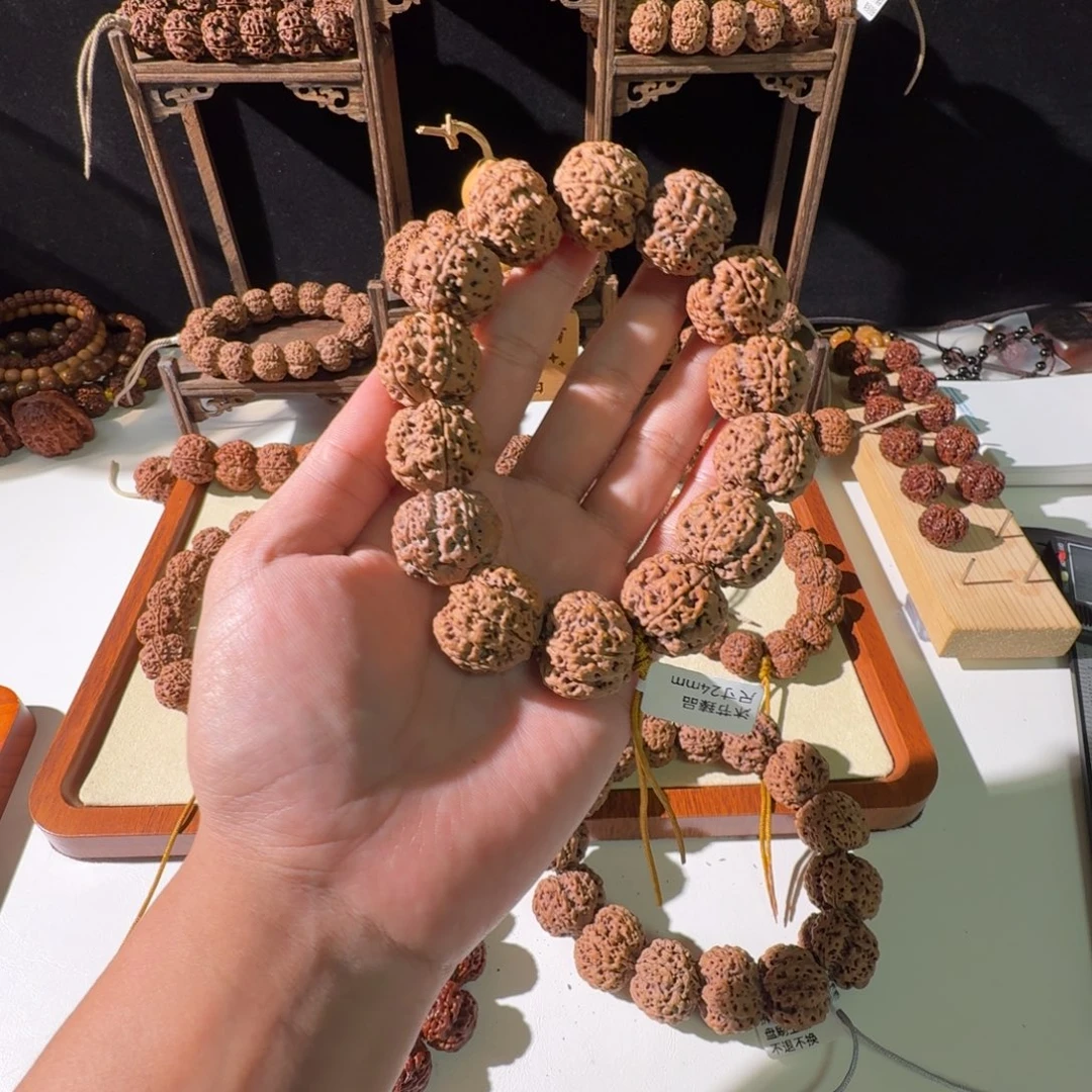 手串金刚菩提24尺寸蜂王
