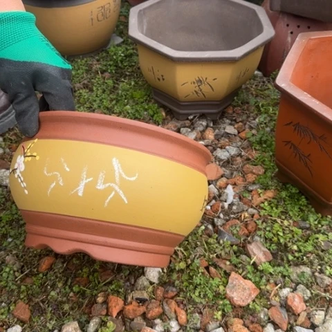 紫砂花盆紫砂花盆盆景盆栽