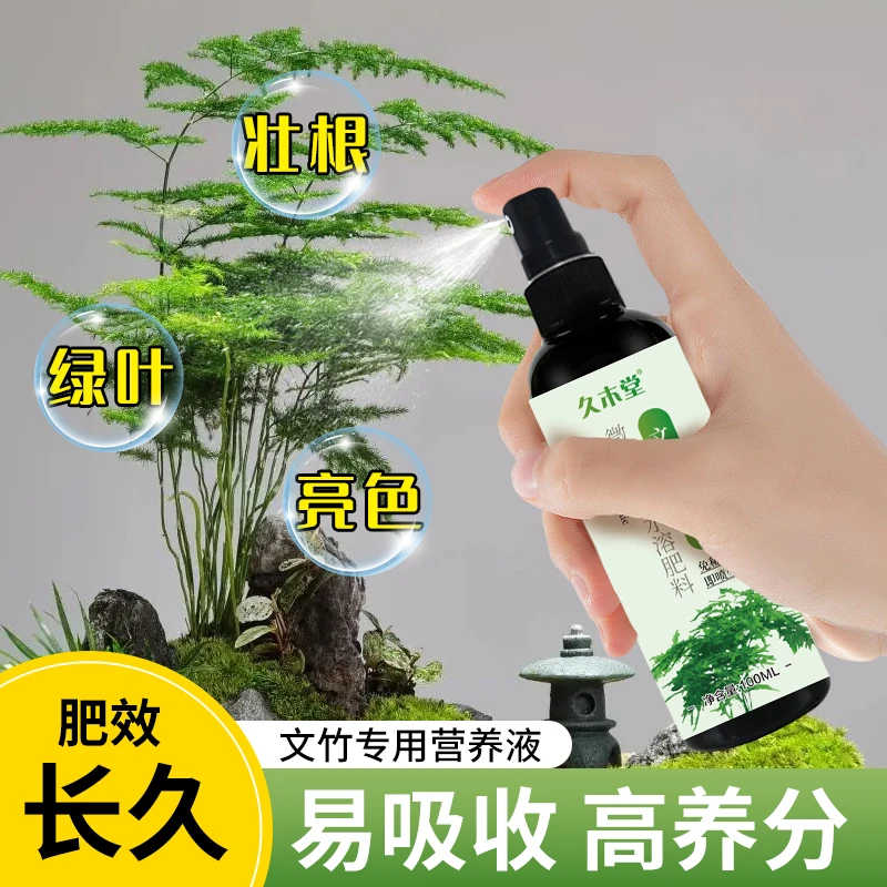 文竹专用营养液免稀释防黄叶烂根干尖促绿催开花增微量元素专用肥