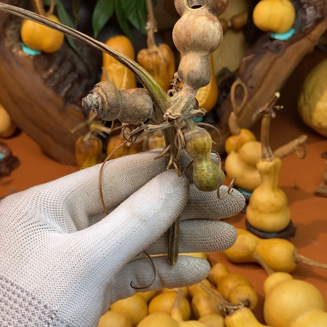 玩***妈教练咯考虑教练咯考虑